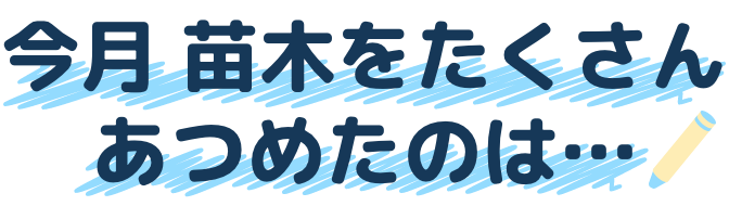 今月のランキング